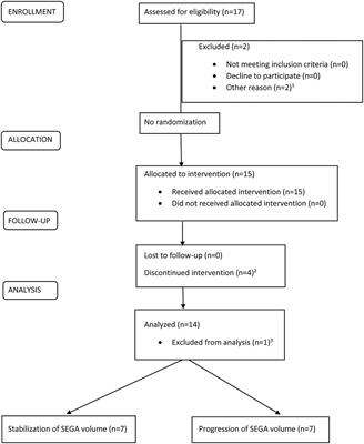 Maintenance Therapy With Everolimus for Subependymal Giant Cell Astrocytoma in Patients With Tuberous Sclerosis – Final Results From the EMINENTS Study